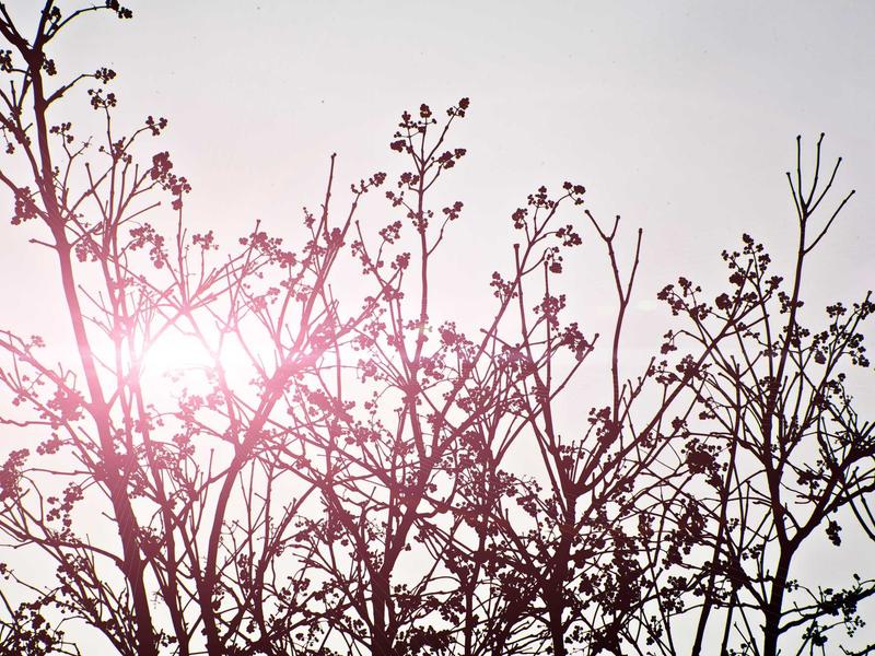 sudoku strategy guide screenshot 2