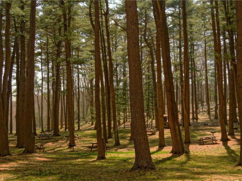 sudoku lunch break screenshot 6