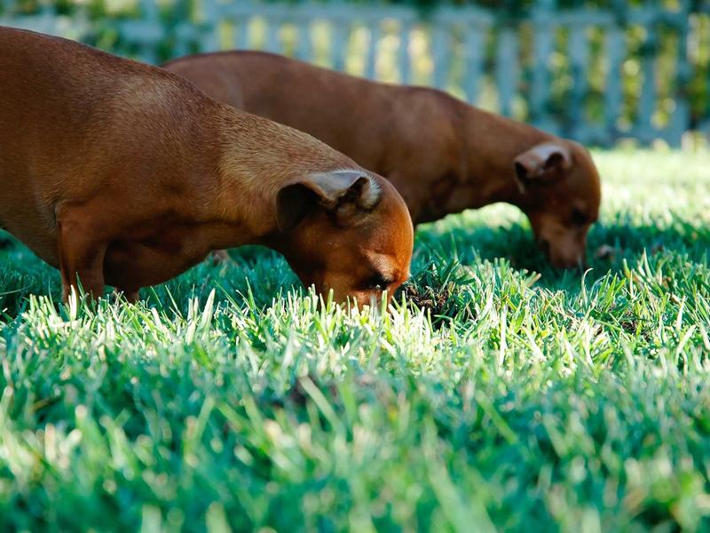 sudoku hints system screenshot 6