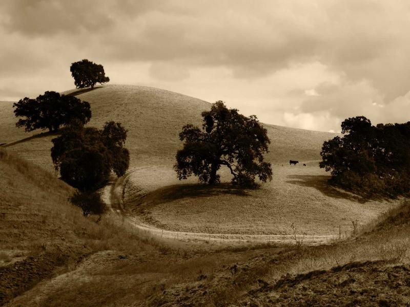 sudoku lunch break screenshot 4